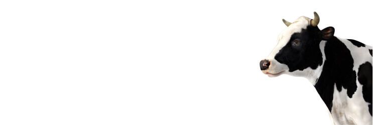 Мясо-молочной продукции